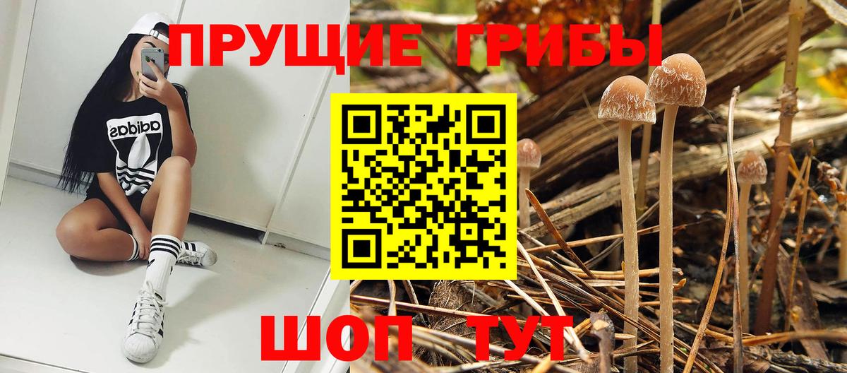 Псилоцибиновые грибы Magic Shrooms Уварово